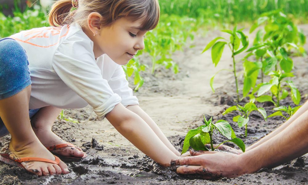 Crianças plantando juntas